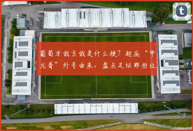葡萄牙俄亥俄是什么梗？起底“甲亢哥”外号由来，盘点足坛那些让人捧腹的球迷文化热词